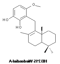 Wiedendiol A